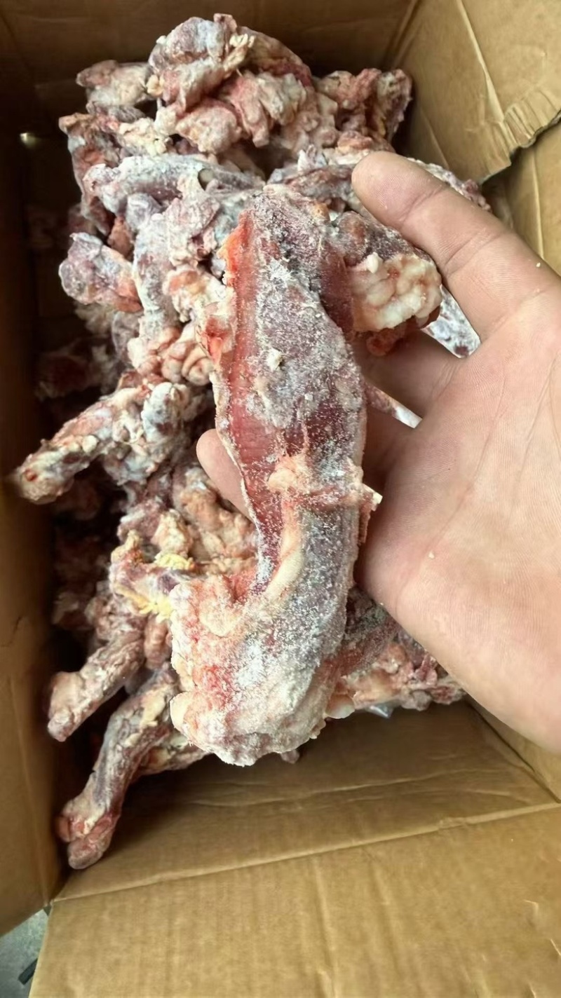 牛鞭根