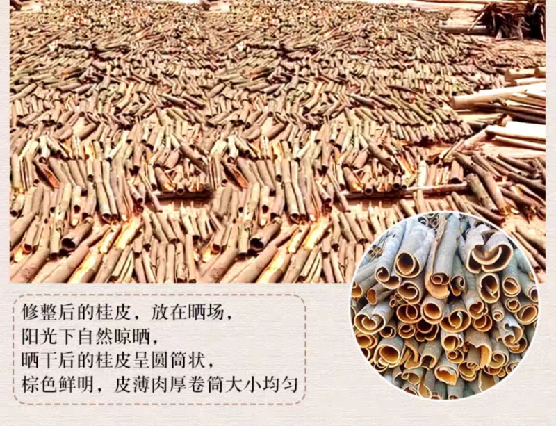 包邮）肉桂皮香料干货调料卤肉料烟桂大料桂皮500g打粉