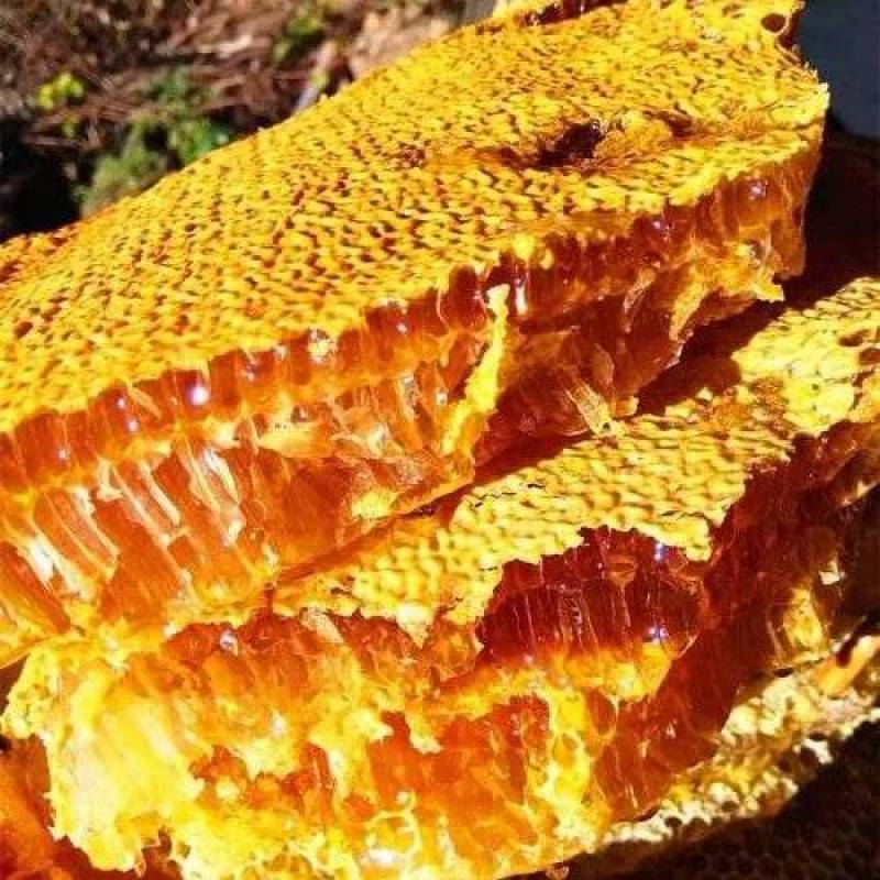 豫西深山农户养殖千花蜜土蜂蜜