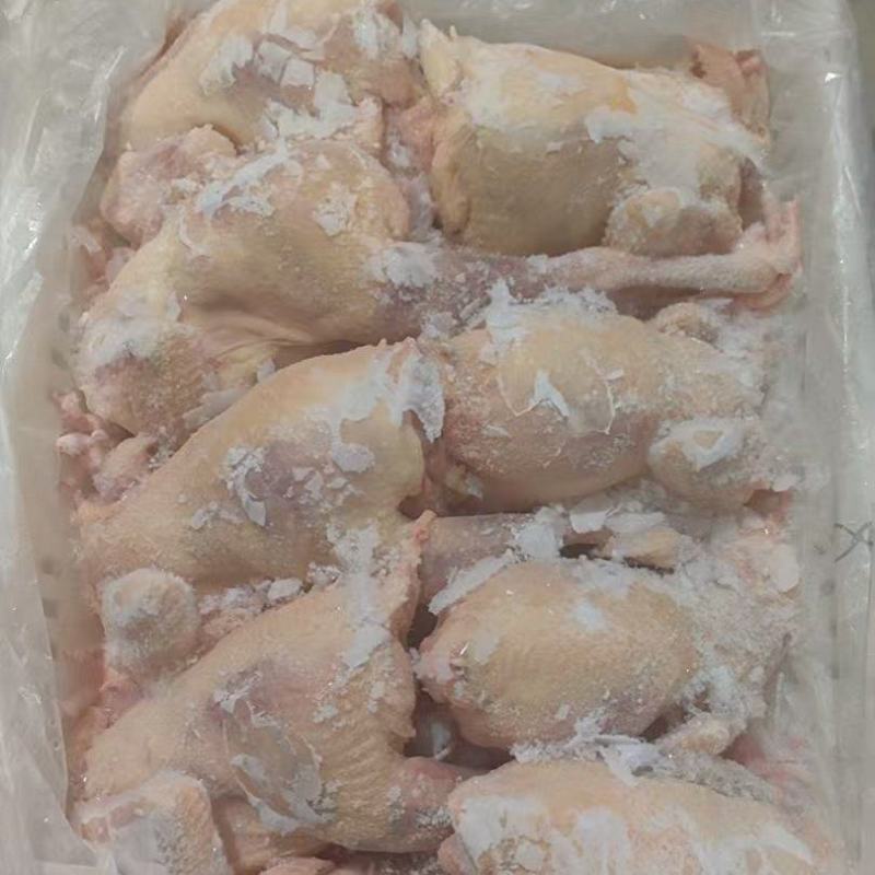 一级老母鸡