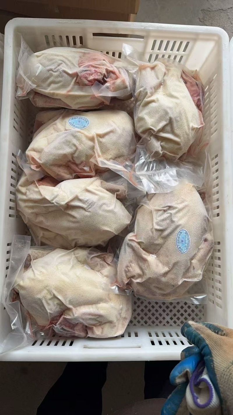 真空黑腿公鸡电商专用款