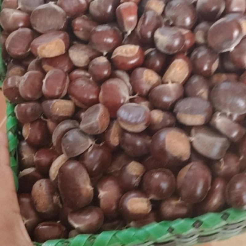 栗子好吃