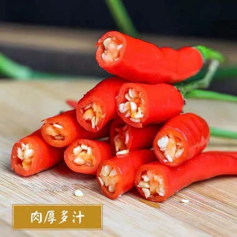 新鲜小米辣小米辣椒小米椒当季蔬菜整箱云南蔬菜
