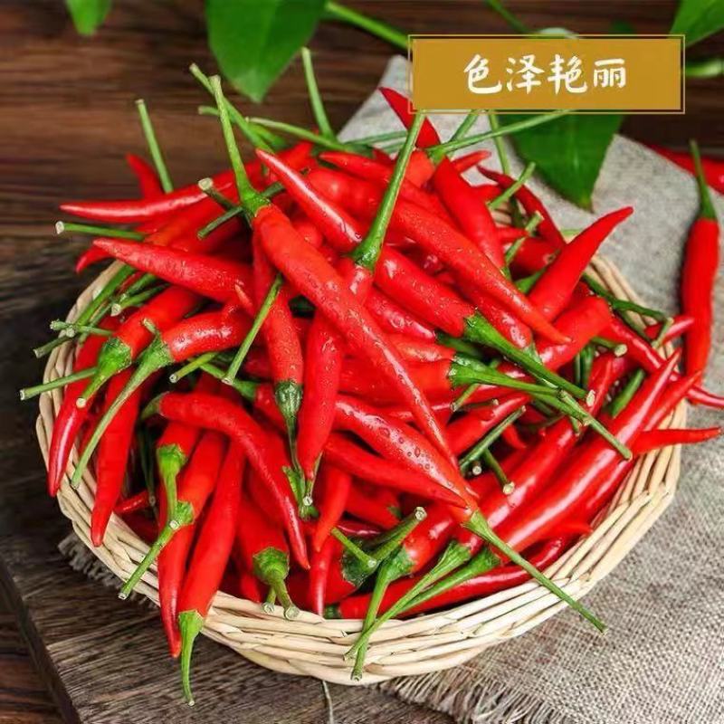 新鲜小米辣小米辣椒小米椒当季蔬菜整箱云南蔬菜