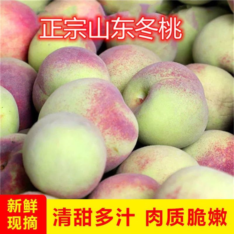 山东冬桃