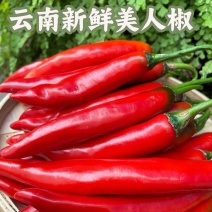 云南美人椒红辣椒红线椒当季蔬菜