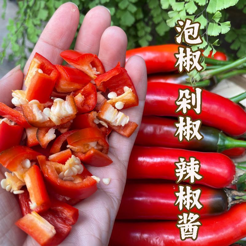 云南美人椒红辣椒红线椒当季蔬菜