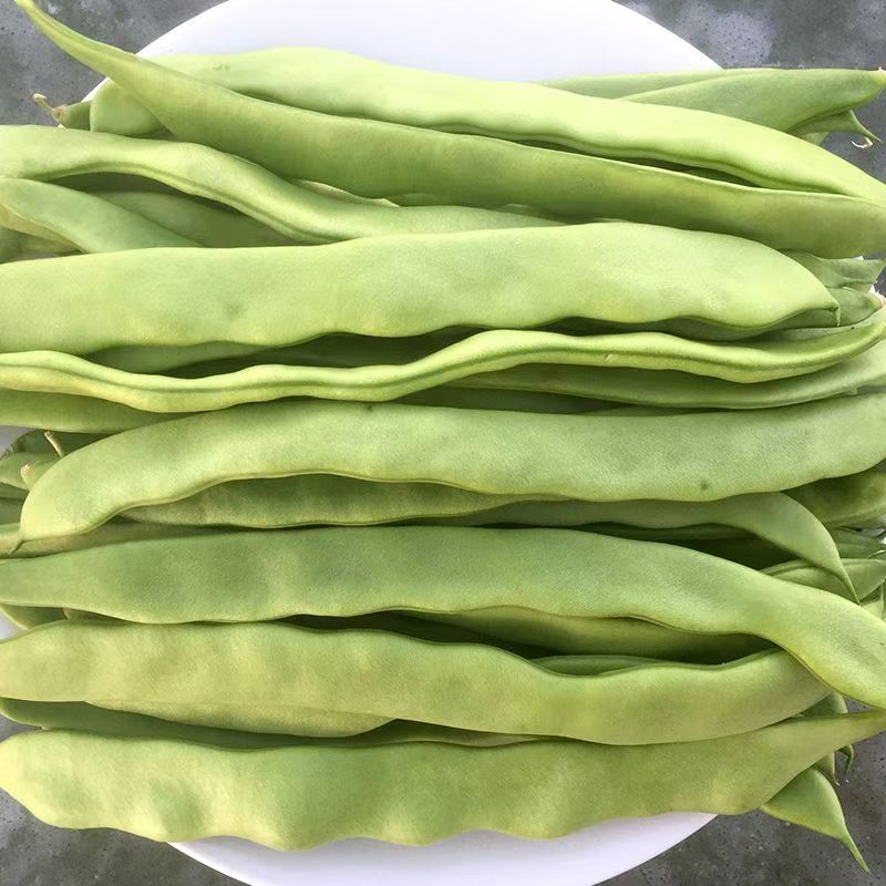新鲜扁豆角云南当季蔬菜扁豆绿扁豆大豆角