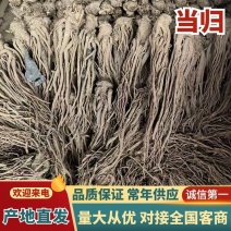 精品甘肃岷县当归，产地直供，货源充足，规格齐全，欢迎客商