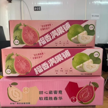 红心芭乐奶油芭乐一键净重五斤批发代办
