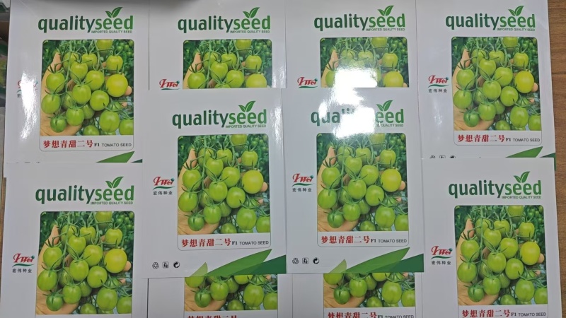 梦想青甜二号小番茄苗嫁接青甜二号小番茄苗原装正品种子育苗