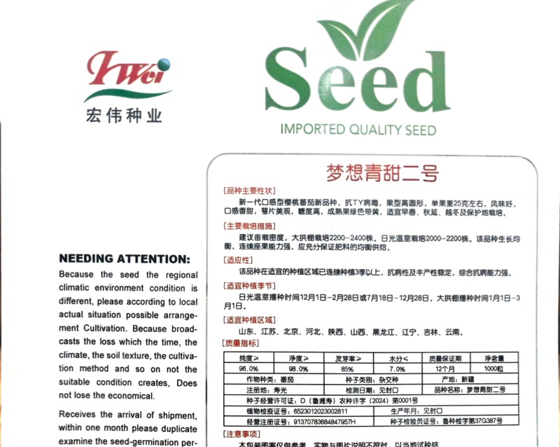梦想青甜二号小番茄苗嫁接青甜二号小番茄苗原装正品种子育苗
