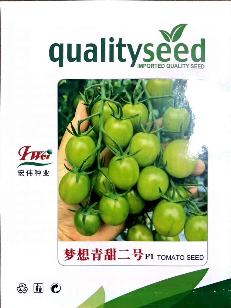 梦想青甜二号小番茄苗嫁接青甜二号小番茄苗原装正品种子育苗