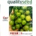 梦想青甜二号小番茄苗嫁接青甜二号小番茄苗原装正品种子育苗