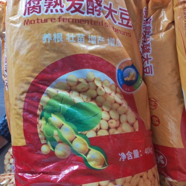 发酵大豆养根壮苗增产增质