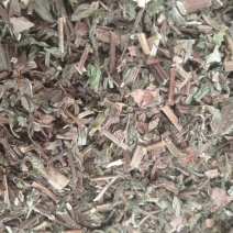 薄荷