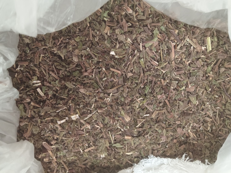 薄荷