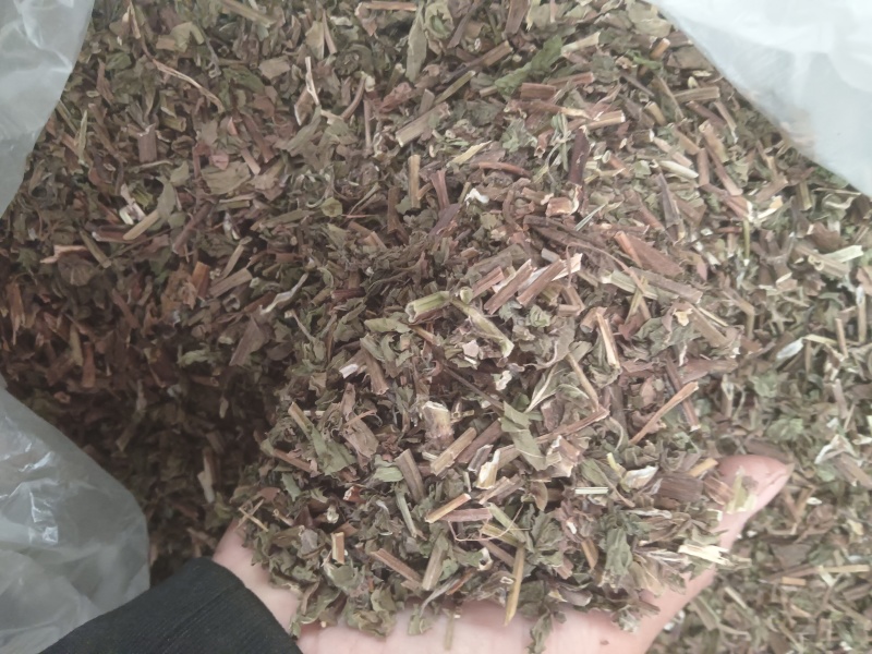 薄荷