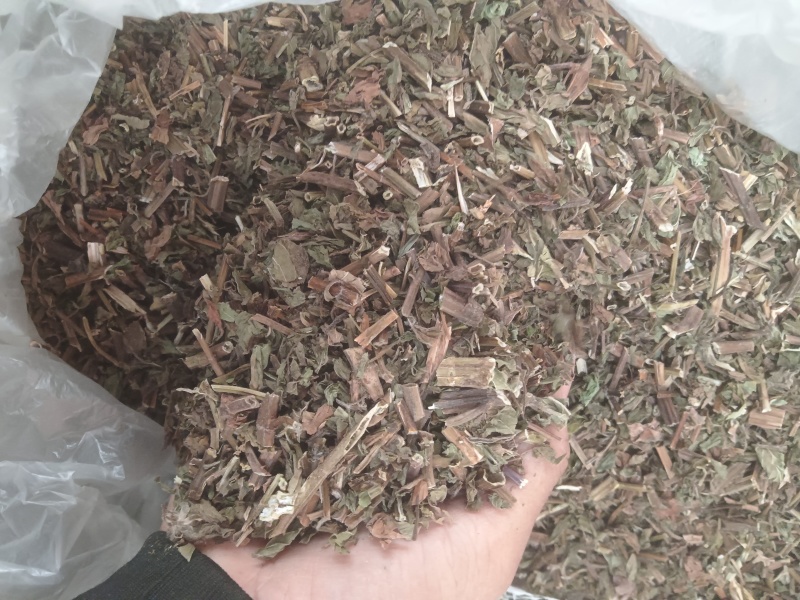 薄荷