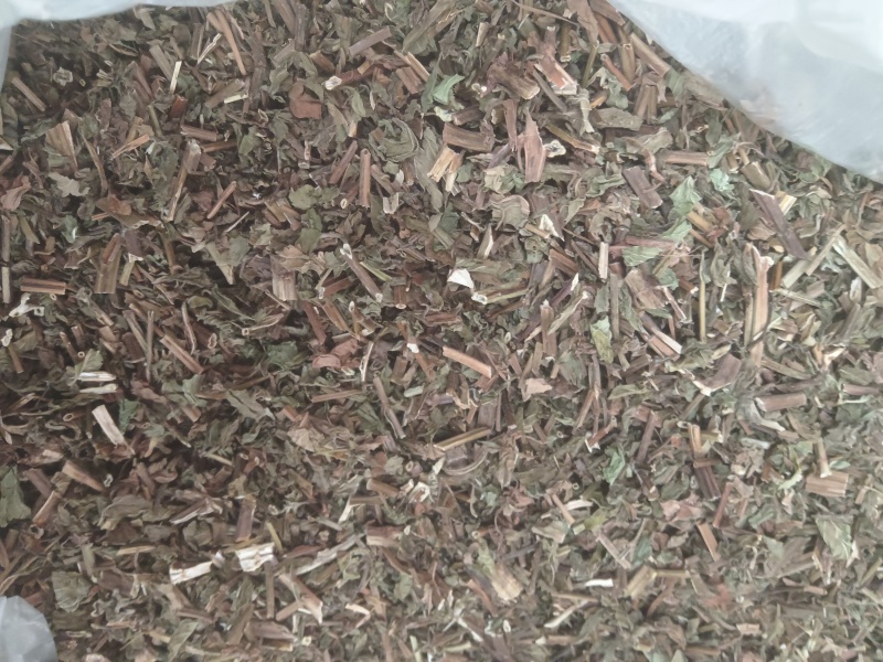 薄荷