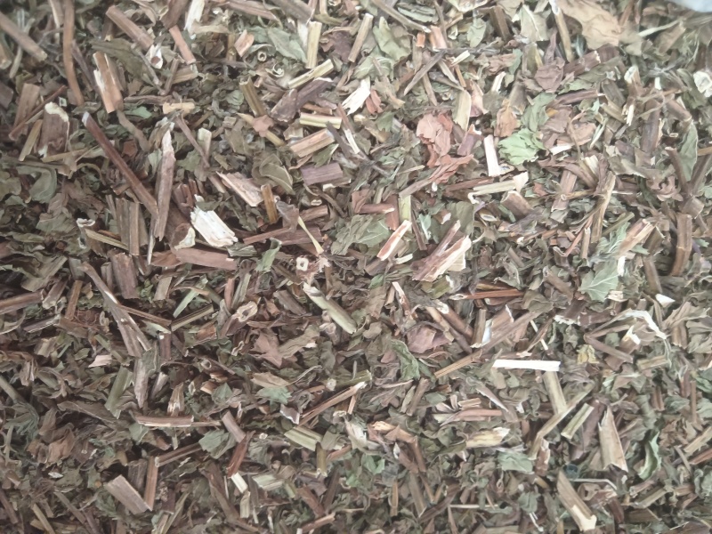 薄荷