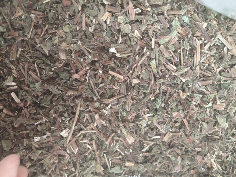 薄荷