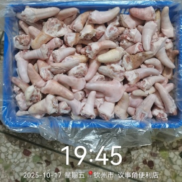 短猪尾