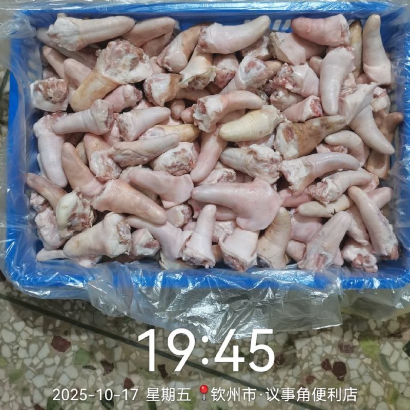 短猪尾