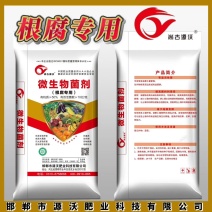 根腐专用微生物菌剂