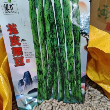 花皮四季豆种子，下锅软烂，口感好，50元1斤
