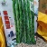 花皮四季豆种子，下锅软烂，口感好，50元1斤