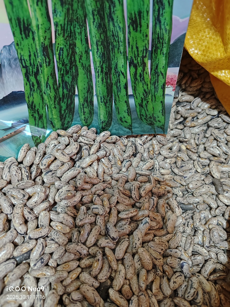 花皮四季豆种子，下锅软烂，口感好，50元1斤
