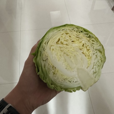 甘蓝产地直销，农户自己种，没有中间商。