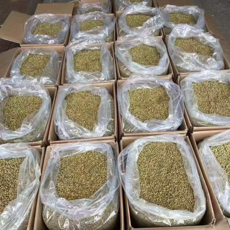 正宗霍山石斛特级非野生石斛铁皮石斛米斛