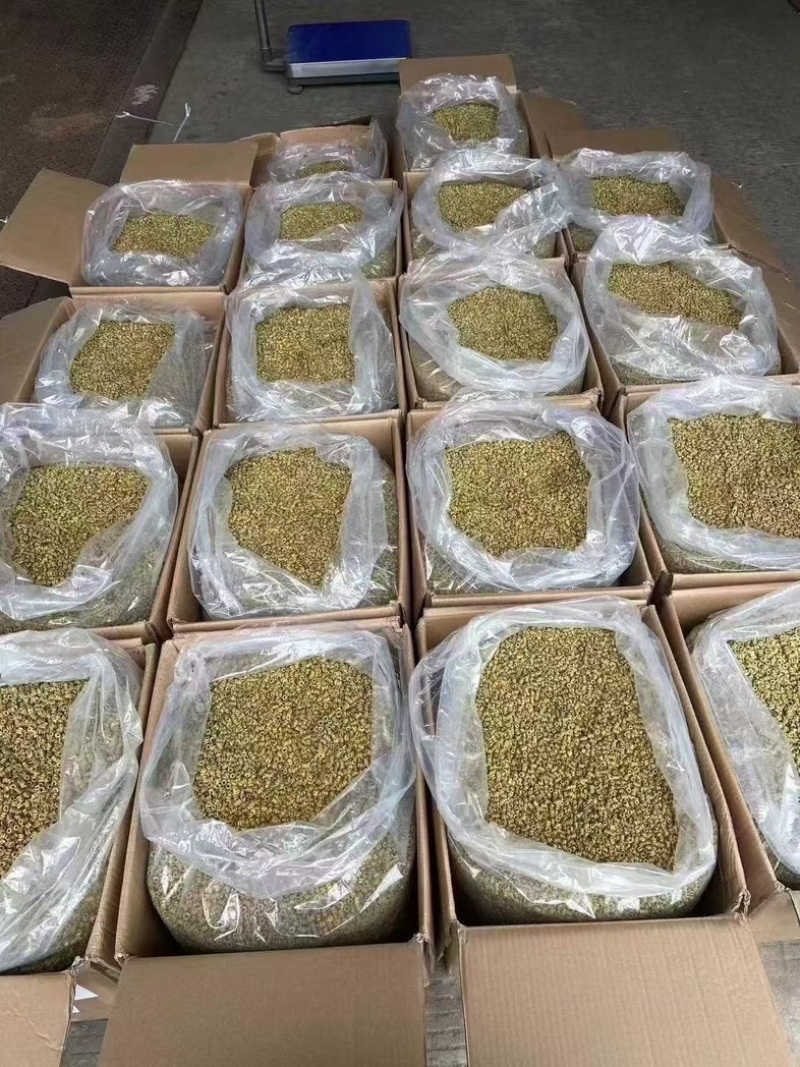 正宗霍山石斛特级非野生石斛铁皮石斛米斛