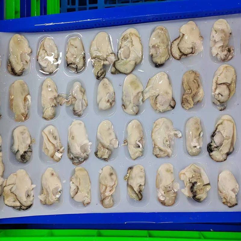 生蚝牡蛎肉