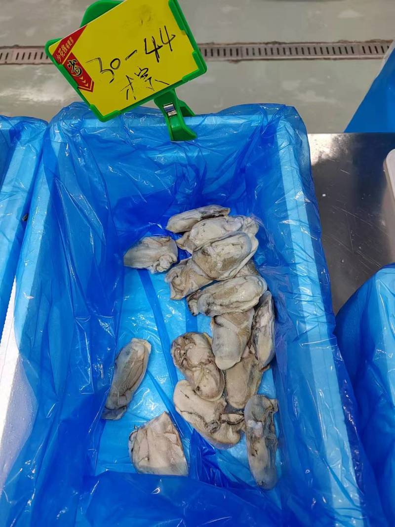 生蚝牡蛎肉