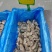 生蚝牡蛎肉