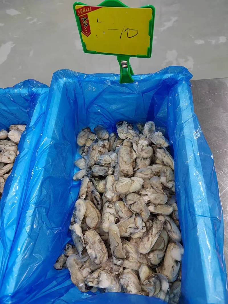 生蚝牡蛎肉