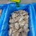 生蚝牡蛎肉