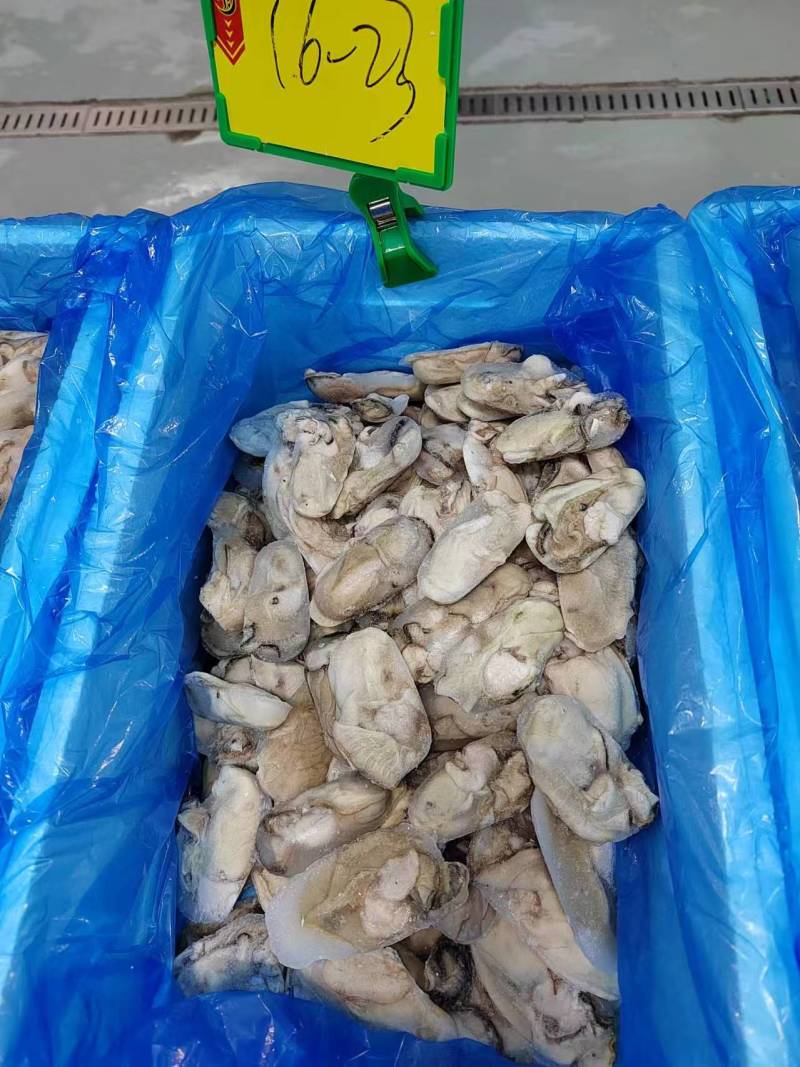 生蚝牡蛎肉