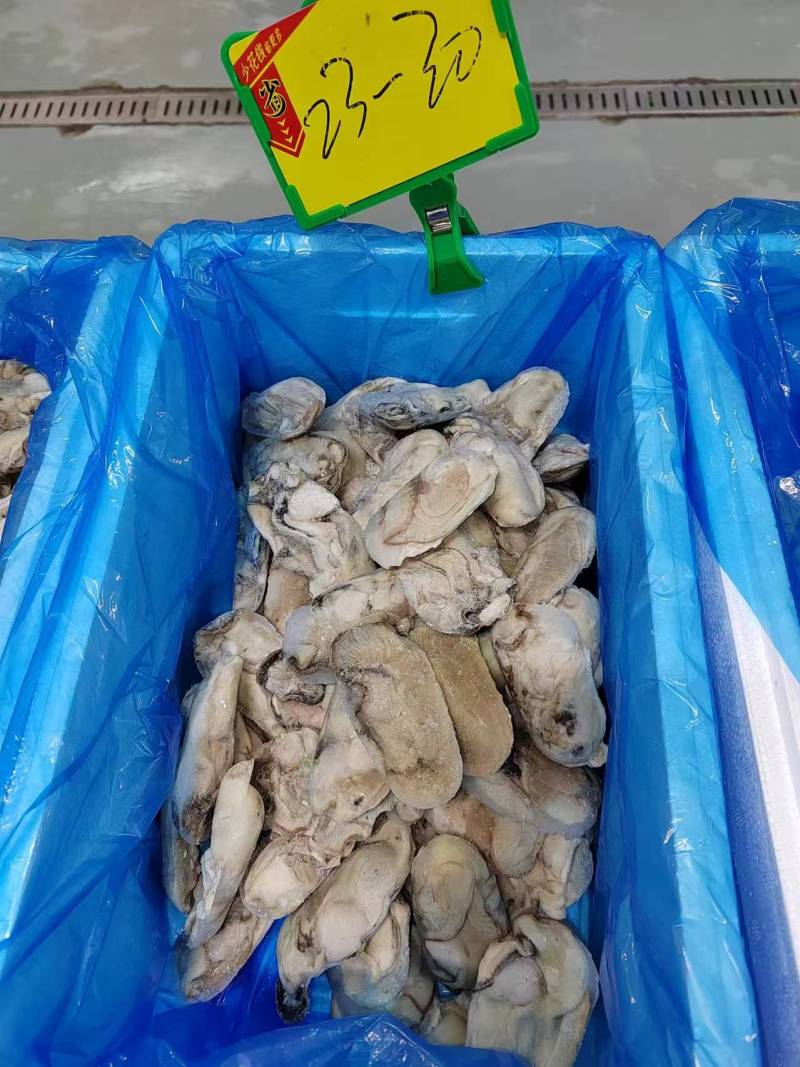 生蚝牡蛎肉
