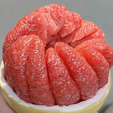 平和琯溪蜜柚