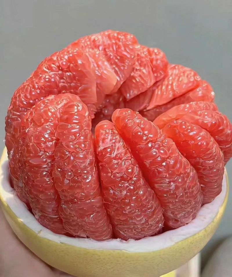 平和琯溪蜜柚