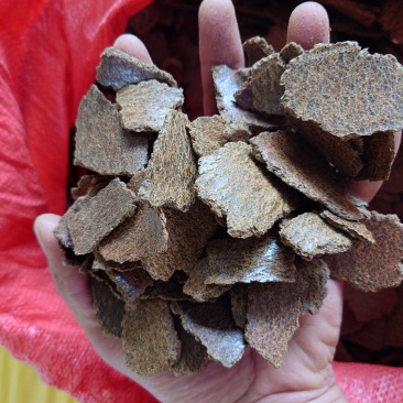 青黄菜枯
