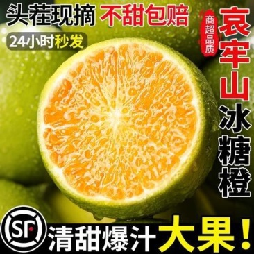云南玉溪哀牢山冰糖橙9斤新鲜现摘孕妇水果整箱手剥青绿皮甜