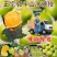 云南玉溪哀牢山冰糖橙9斤新鲜现摘孕妇水果整箱手剥青绿皮甜