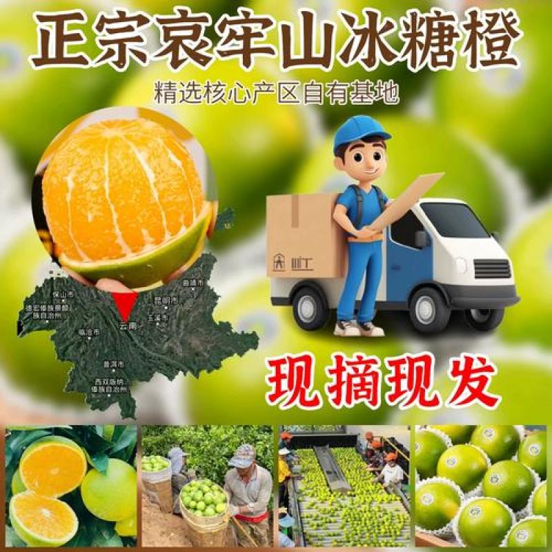 云南玉溪哀牢山冰糖橙9斤新鲜现摘孕妇水果整箱手剥青绿皮甜