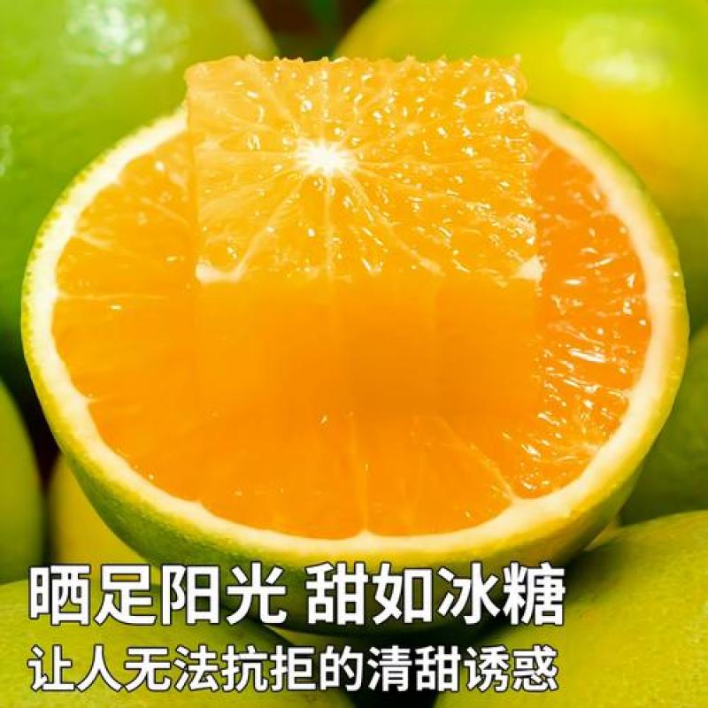 云南玉溪哀牢山冰糖橙9斤新鲜现摘孕妇水果整箱手剥青绿皮甜