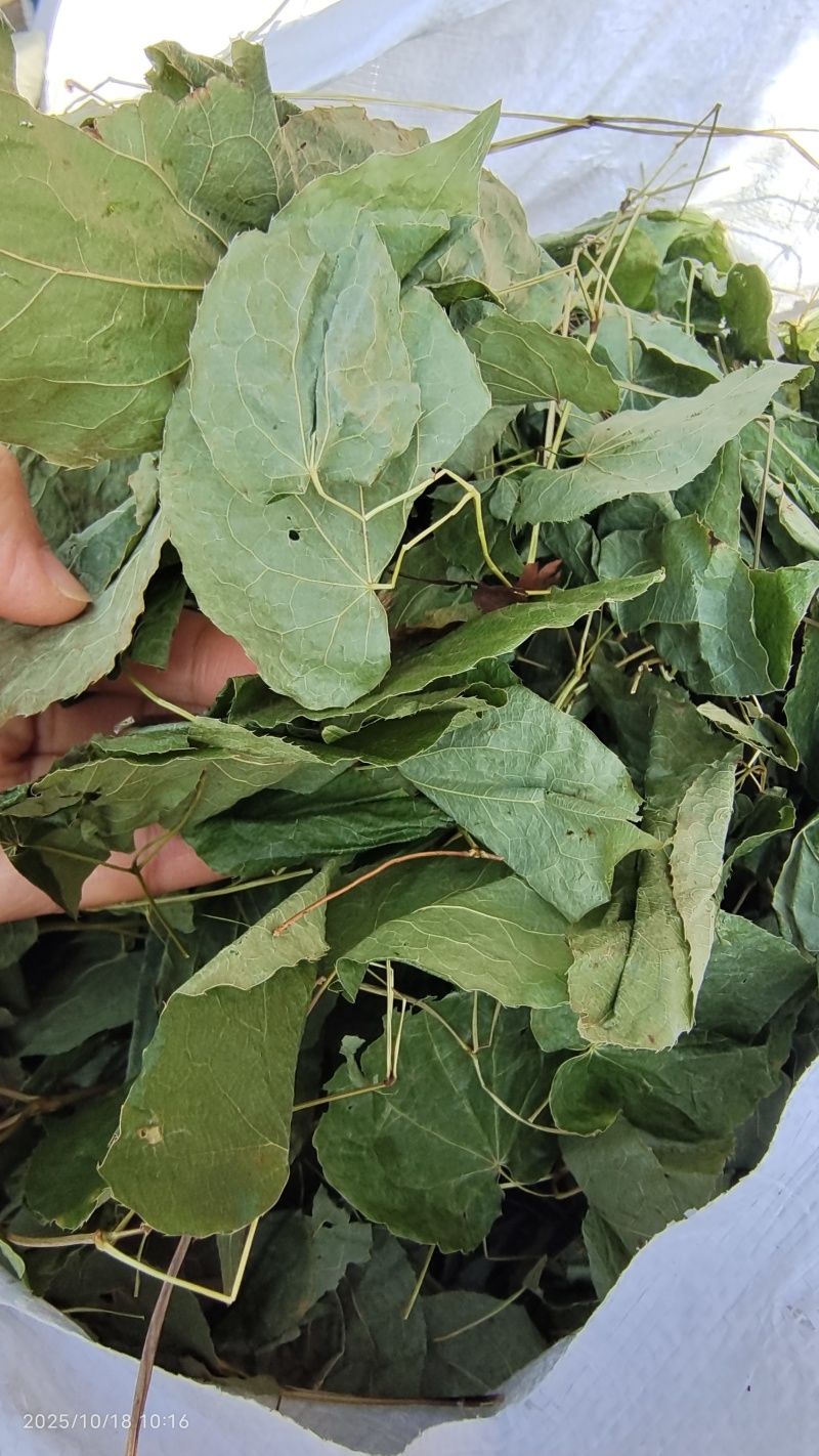 东北淫羊藿全草整叶颜色好2斤包邮量大优惠